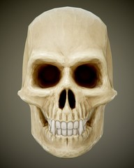 The vampire skull. 3d rendering
