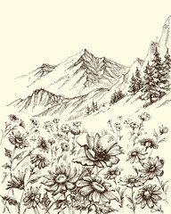 Mountain landscape, flowers border sketch