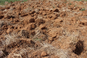 gros plan terre agriculture