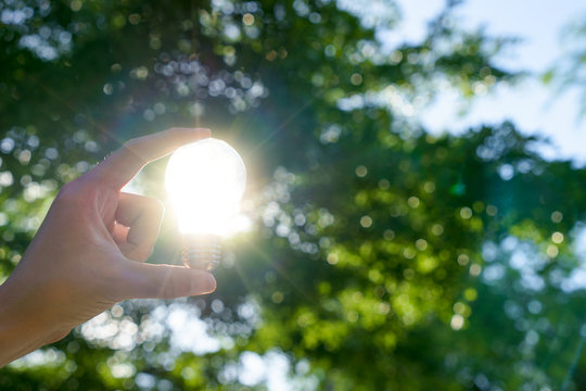 Woman hands holding light bulb with solar energy or thermal energy concept.