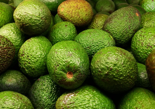 Avocados background for sale in a market