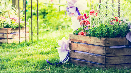 handmade flowerbed with beautiful colored flowers inside, standing on the lawn in the park on a background of blurred natural landscape and the sunlight, sunny summer day