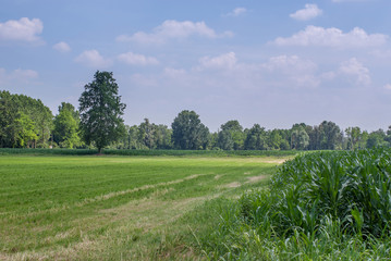 paesaggio di campagna