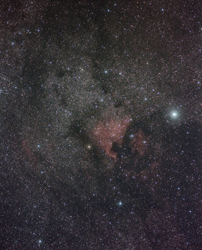 The North America Nebula and Denon Star