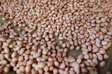 Boiled Peanut make them Dried