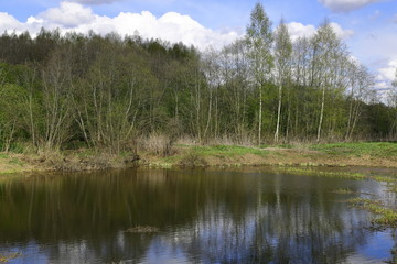 A small forest lake with blue sky in Sunny day