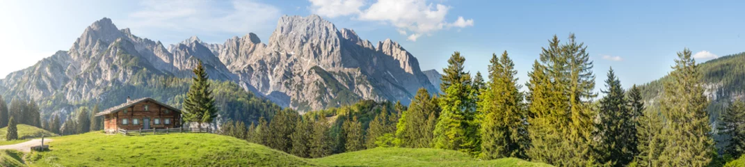 Gordijnen Panoramisch uitzicht in de Oostenrijkse bergen © auergraphics
