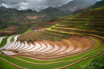 Terraced ricefield in water season in laocai, Vietnam - 158508783