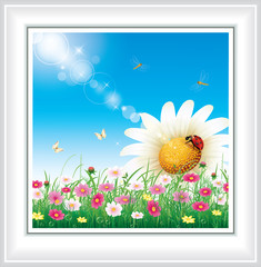 Flower meadow with daisies on a background of blue sky