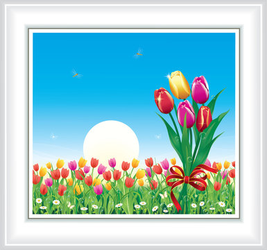 Greeting card with tulips on a background of blue sky and sun 