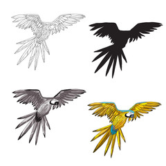 Vector illustration. A flying parrot with yellow and turquoise wings. Black and white line, silhouette, black and white, gray and color image