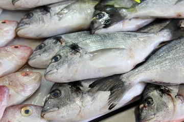 Fresh Fish for sale at a popular fish market in Fethiye,Turkey