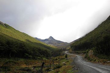 Autumn colored landscape near Fagnano lake along the road to Puerto Williams, Tierra Del Fuego, Patagonia, Chile