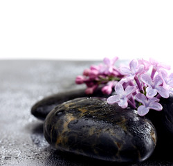 Flowers violet lilac on spa stones in water droplets