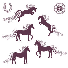 Collection of vector illustrations of horses