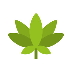 leaf plant decorative icon vector illustration design