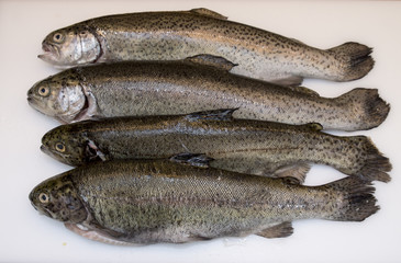 Forelle mit Gemüsepfanne 01 - 06