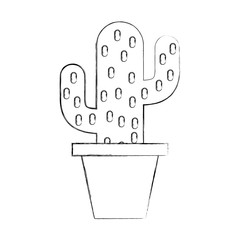 cactus houseplant isolated icon vector illustration design