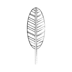 feather hippie style icon vector illustration design