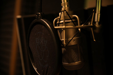 Micr&oacute;fono profesional de estudio