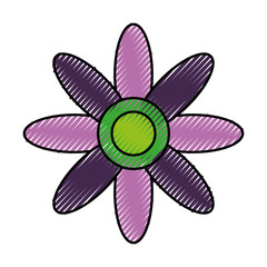 cute flower isolated icon vector illustration design