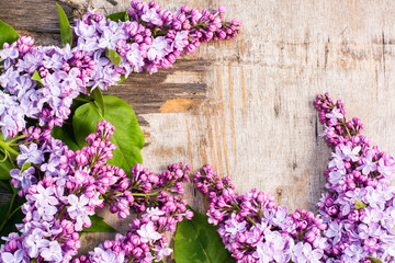 The lilac flowers on old wooden background