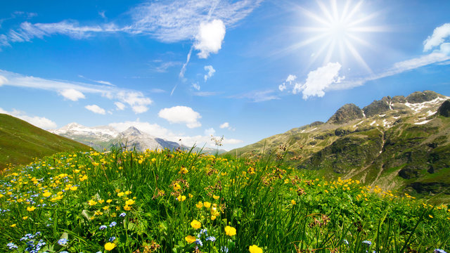 Bergidylle - Blumenwiese im Hochgegirge mit weiss blauem Himmel und Sonne