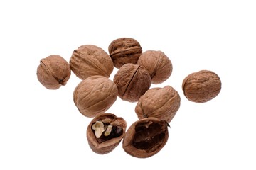 A lot of walnut isolated on white background