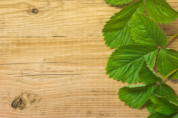 strawberry leaves on a wooden background