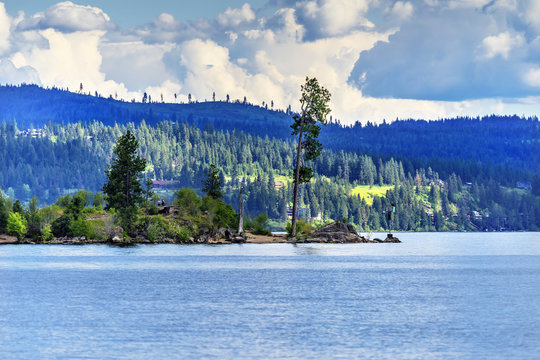 Tree Peninsula Lake Coeur d' Alene Idaho