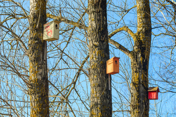 Three birdhouses in the park. House for birds. Caring for animals concept