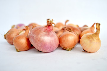 Onions Isolated Closeup