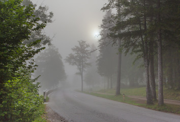 Fototapeta na wymiar A foggy morning in the Alps. Slovenia