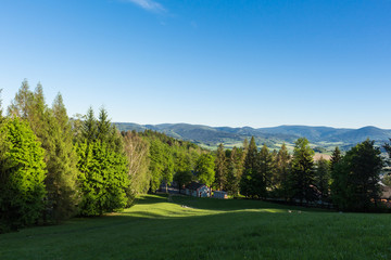 Fototapeta na wymiar Summer landscape with green grass and blue sky