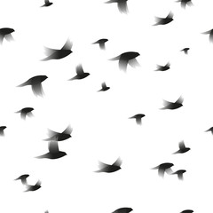 Birds seamless pattern design