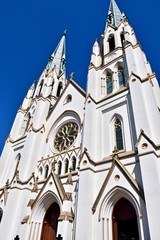 Obraz premium The Cathedral of St. John the Baptist Savannah, Georgia