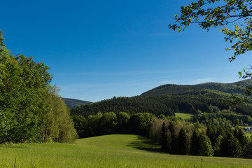 Spring meadow in mountains. Bright alpine landscape with blue sky. Bright sun in blue sky. Green fields under blue sky.