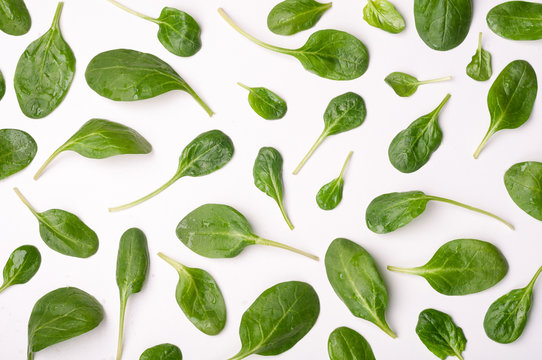 Spinach leaves on white background. Pattern of spinach leaf isolated background. Creative food concept. Ingredient for salad. Flat lay, top view