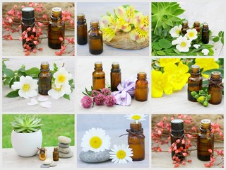 composition d'huiles essentielles