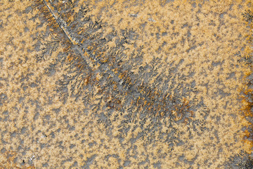 aged granite stone floor tile grunge texture