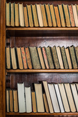 Books on wooden shelves in the library