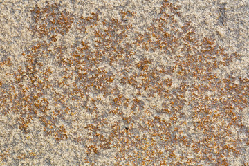 aged granite stone floor tile grunge texture