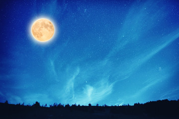 Fototapeta na wymiar Full moon at night on the dark blue sky