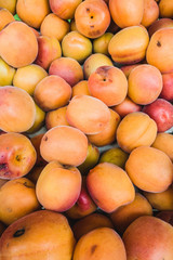 Close-up of apricots in a market