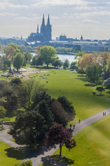 City park. View on green park and Cathedral in Cologne