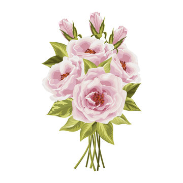 Beautiful bouquet of roses isolated on white.