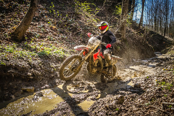 Motocross rider passes through the mud on the hardenduro race - obrazy, fototapety, plakaty