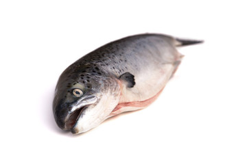 Saumon sur fond blanc