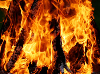 Fototapeta premium Fire flame nature background. Bonfire and vivid flames with burning dark red-orange background.