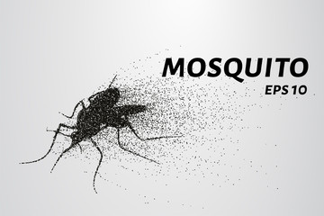 The mosquito of the particles. The mosquito consists of small circles and dots. Vector illustration.
